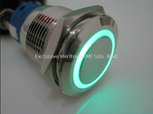 220V LED 19mm momentary or lagging metal push button switch