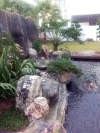 Upgraded waterfall - Horizon Hills bungalow  Koi Pond Design and Build