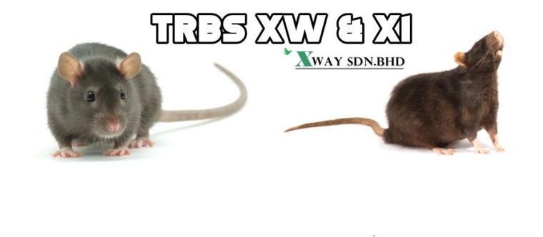 WHAT IS TRBS "TAMPER RESISTANT BAIT STATION"?