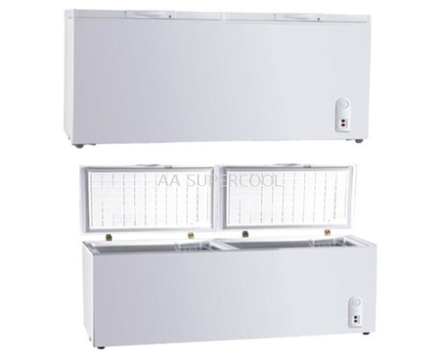 Chest Freezer SBDW-600