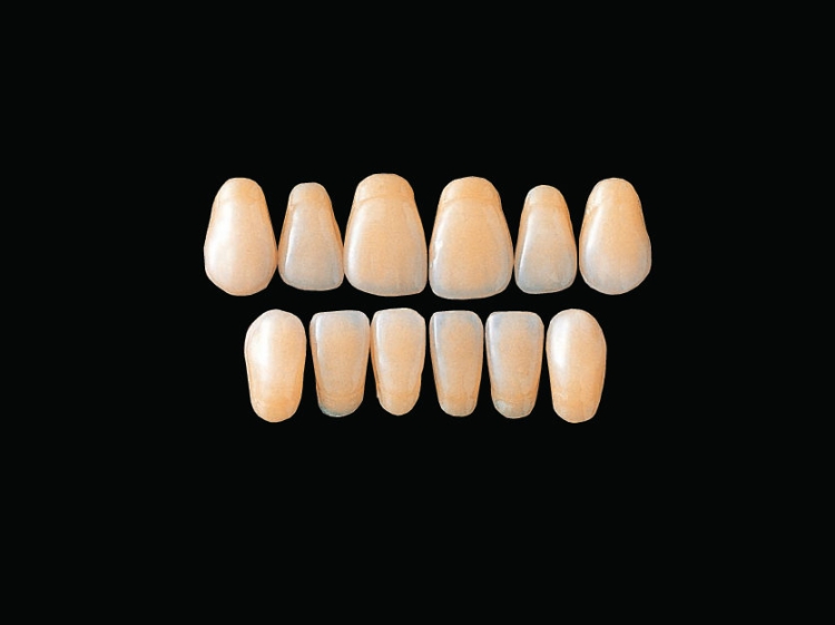 Hard Resin Teeth (SS3-SS6)