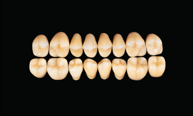 Hard Resin Teeth (M32)