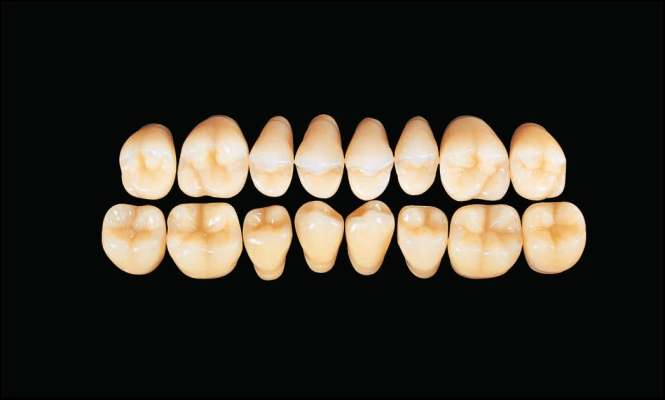 Hard Resin Teeth (M30)