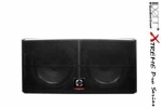 SR-2181 Passive Subwoofer DENN Professional Audio (PA) System - XTREME PRO Series