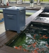 Solar koi food feeder Koi Pond Accessories