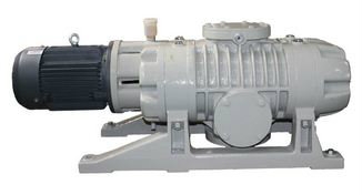 ZJ Roots Vacuum Pump