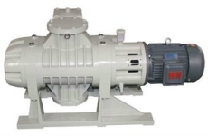 ZJP Roots Vacuum Pump