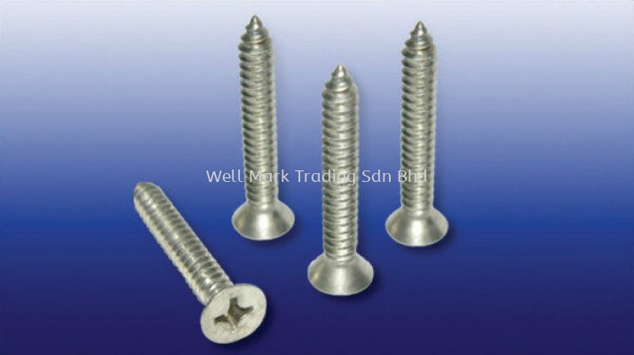 Stainless Steel Screws