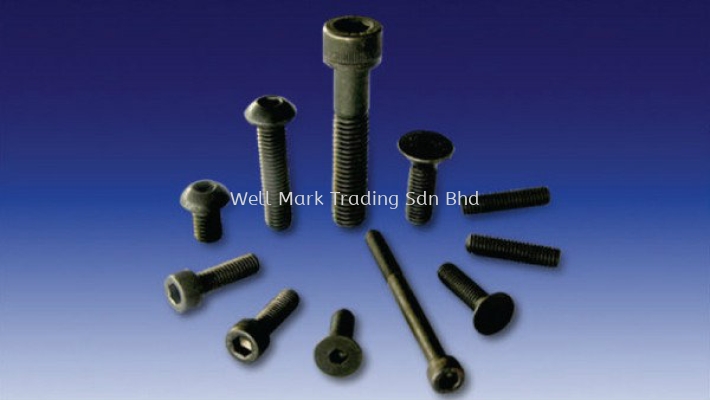 Socket Screws