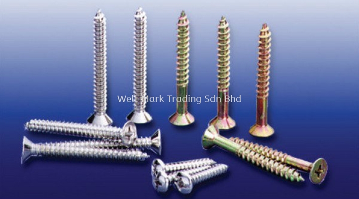 Self Tapping Screw