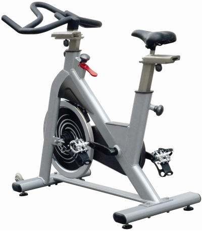 PS300 Spinning Bike