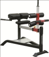 SL 7013 - Glute Ham Bench Sterling Series Strength Machine Commercial GYM