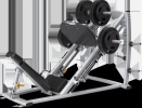 45 Deg Leg Press Matrix Weight Lifting n Accessory