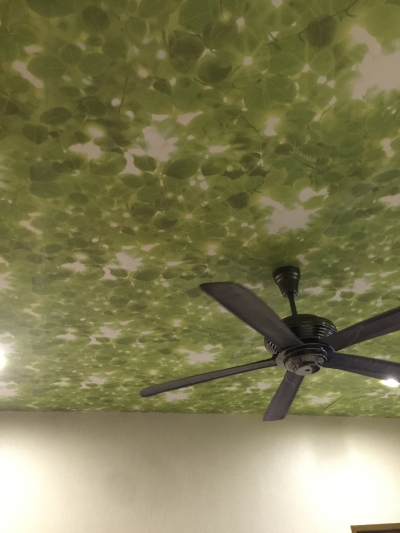 Wallpaper On Ceiling 