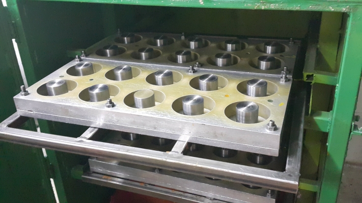 Multi Cavity Mold