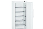 Freezers Liebherr Refrigerator