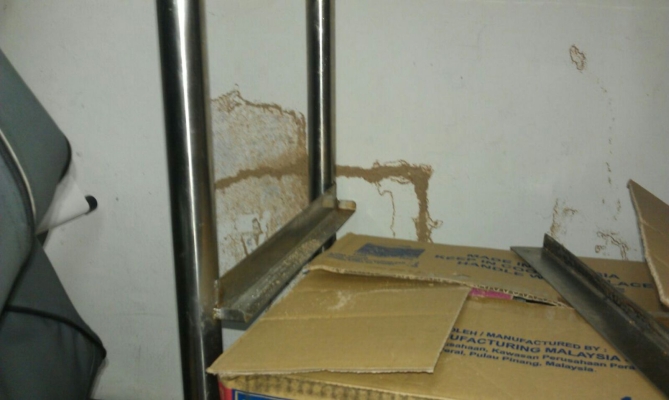 Termite Damage 