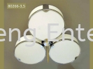 80266/3 , 80266/5 Ceiling Lights