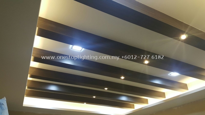 Plaster Ceiling Offer