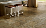  Vinyl Flooring