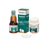 Immunol 60Tablets 