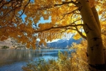 SC10008 Scenery & Nature Mural Wallpaper Design Photomurals