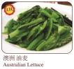 Australian Lettuce Vegetable Menu