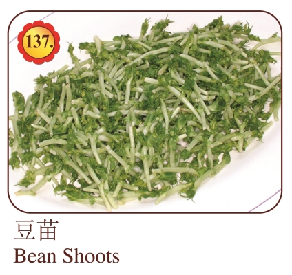 Bean Shoots