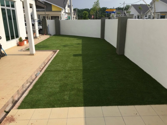 Artificial Grass