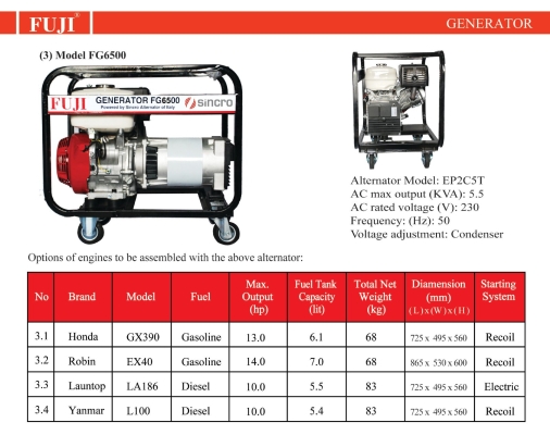 Italy Sincro FG6500 5.5KVA Generator ( Gasoline/Diesel)