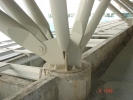 Typical base connection between tree columns and RC structure. Johor Bahru - CIQ steel roof structure Completed Projects in Johor