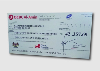 Mock Up Cheque