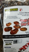 Natural dried silkworm pupae Koi Food