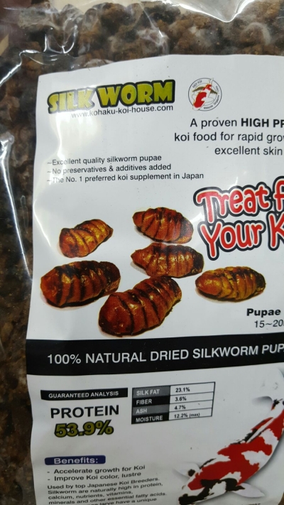 Natural dried silkworm pupae