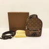 (SOLD) Louis Vuitton Mini Palm Spring Louis Vuitton