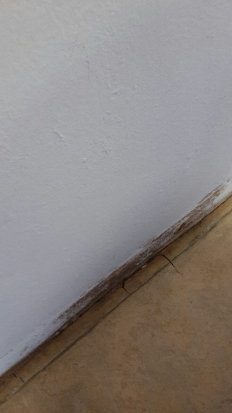 Termite Attack  Pest, Pest Control, fogging, Selangor , Kuala Lumpur Pest Control Service