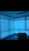  Vertical Blind