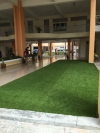 Artificial Grass Others