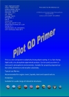 Pilot QD Primer Single Primer Protective Coating