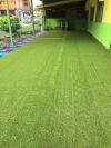 Artificial Grass Residential