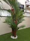 Artificial Grass Residential