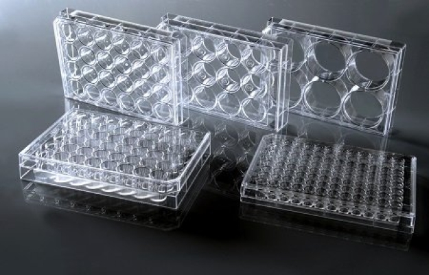 Cell Culture Plate