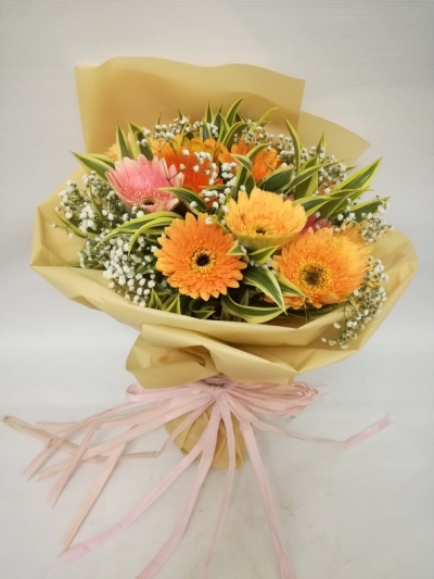  Peach Daisy HB-392