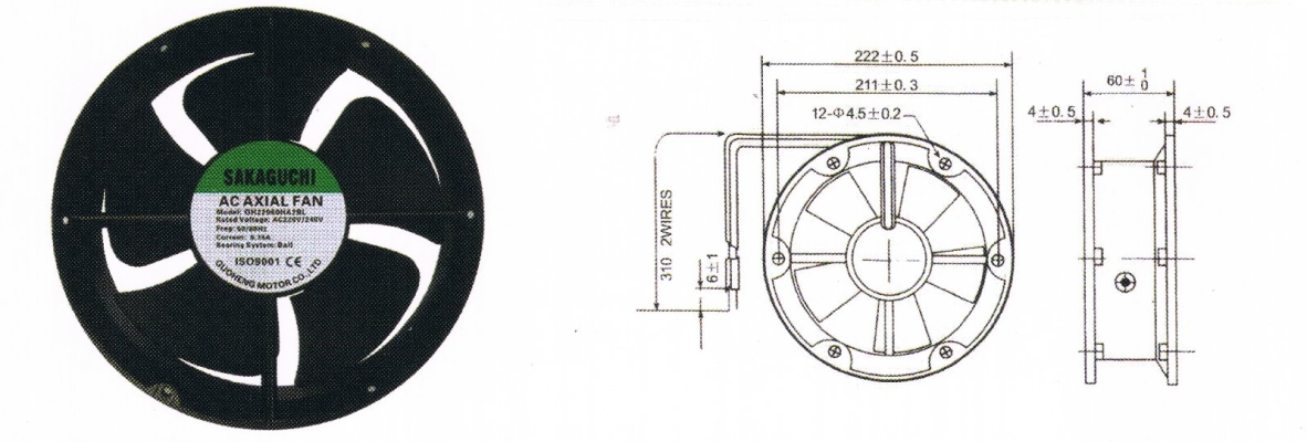 SAKAGUCHI 8'' VIDEO FAN