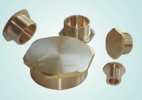  Cable Glands & Fittings