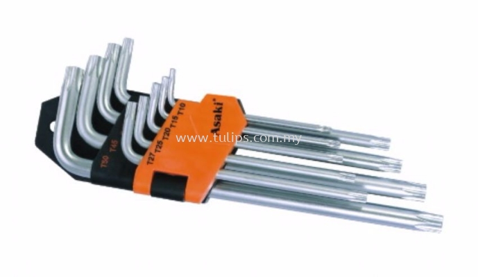 Torx Hex Key Set