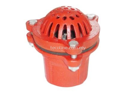 Cast Iron Foot Valve