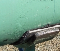 Pipe Sock™ Corrosion Prevention Pipe Repair Systems
