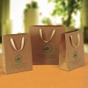 Luxury Brown Kraft Paper Bag Bag - Woven/Non Woven/Paper/Kraft Paper Printing & Packaging