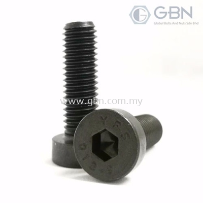 Low Head Socket Cap Screw Din 7984